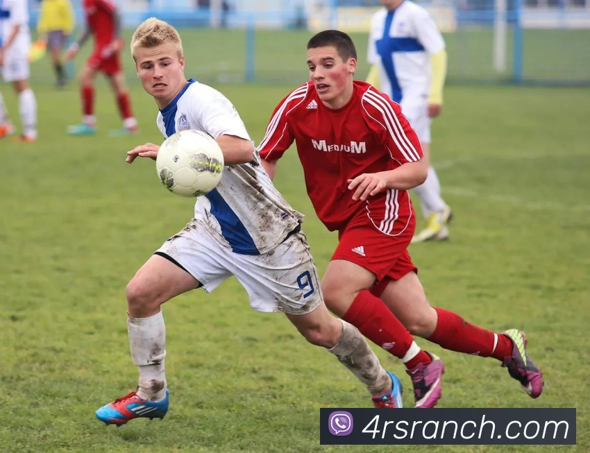 奖项图1